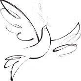 بناة السلام